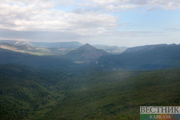 Экологи КЧР в прошедшем году восстановили 120 га лесов республики