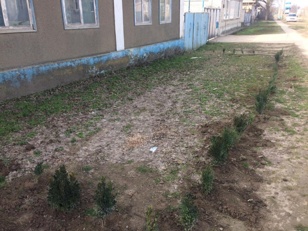 Жительница Ставрополья решила озеленить свой дом за счет соседки