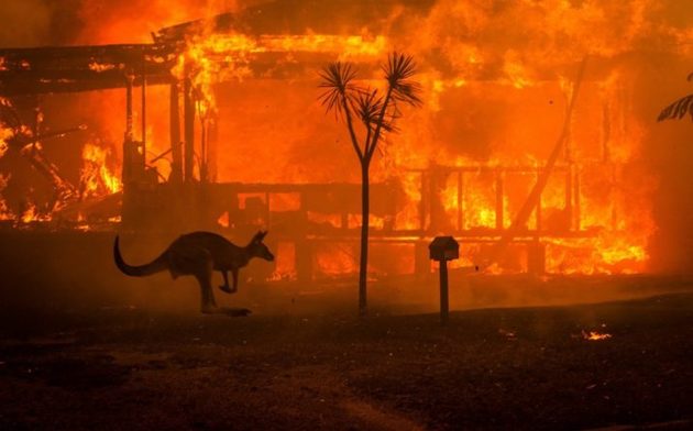Принц Уильям и Кейт Миддлтон посетят районы пожаров в Австралии