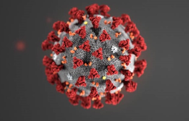 В Роспотребнадзоре рассказали об инкубационном периоде коронавируса