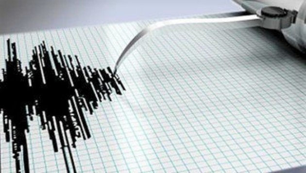 Турецкую провинцию потрясло сильное землетрясение