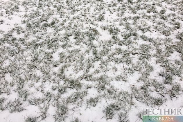 Вильфанд рассказал, где можно найти снег в московском регионе