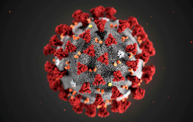 Эксперты ВОЗ рассказали, в каком возрасте можно заболеть коронавирусом