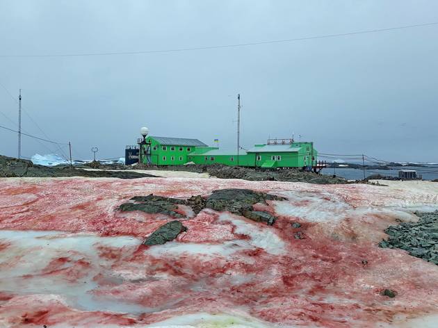 "Кровавый снег" появился на станции Украины в Антарктиде