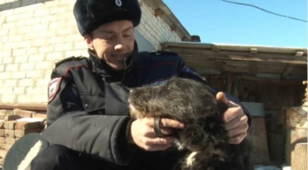Участковый поймал живодера и спас пса на Ставрополье (ВИДЕО)