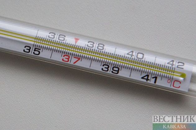 Температуру тела будут выборочно измерять у пассажиров метро в Москве