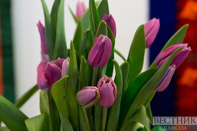 В метро Москвы 8 марта будут дарить цветы и патчи