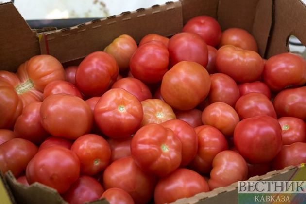 Госзакупки импортных помидоров и огурцов ограничены правительством РФ
