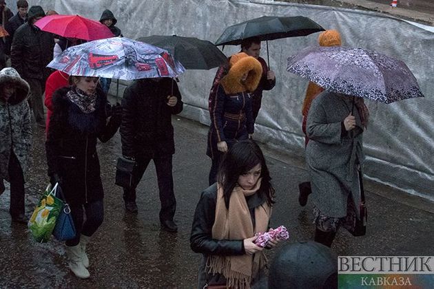 Дожди и порывистый ветер до 18 м/с обещают сегодня в Москве