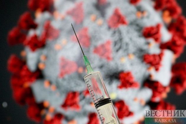 В России выявили 228 новых случаев заражения коронавирусом