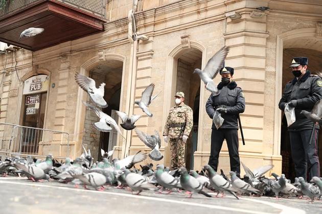 Бакинские полицейские покормили голубей (ФОТО) 