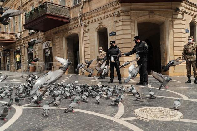 Бакинские полицейские покормили голубей (ФОТО) 