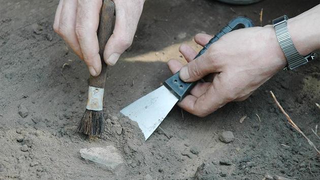В крымской пещере "Таврида" нашли останки животных возрастом в 1,5 млн лет