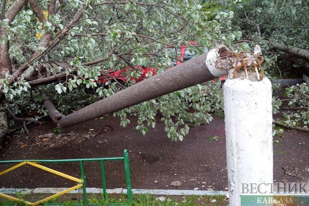Ветер уронил десятки деревьев в Москве