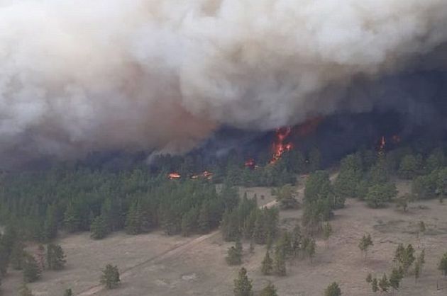 В Восточном Казахстане вспыхнул лесной пожар