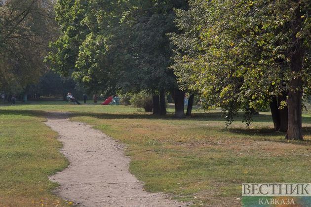 Два парка разобьют в селах Докузпаринского района Дагестана