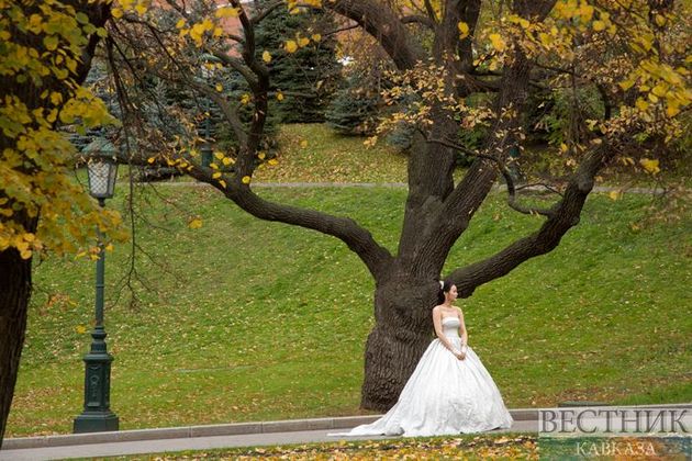 Грузия останется без многолюдных свадеб в этом году