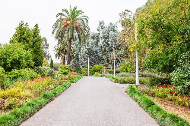 Батумский ботанический сад открылся для посетителей