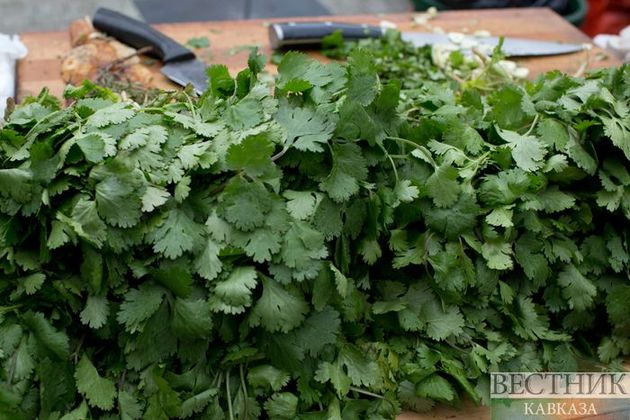 Свежая зелень и специи помогут предотвратить развитие диабета