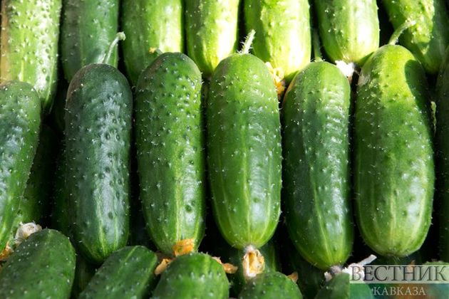 Аграрии Дербентского района направили овощи московским врачам