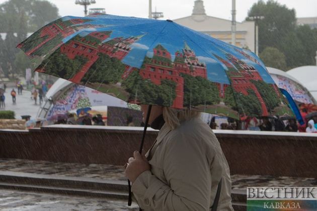 Жаркую и "грозовую" рабочую неделю пообещала синоптик в Москве