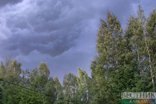 Синоптики предупредили о жаре и сильном ветре сегодня в Казахстане