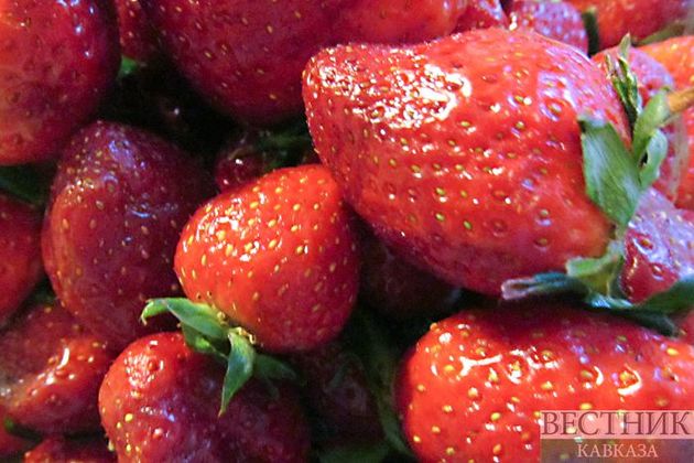 Агроном посоветовала не мыть летние ягоды