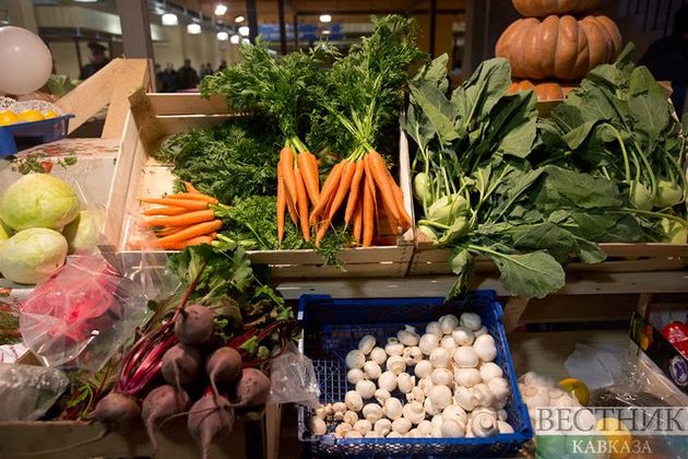  В Грузии заработало новое холодильное хозяйство для хранения овощей