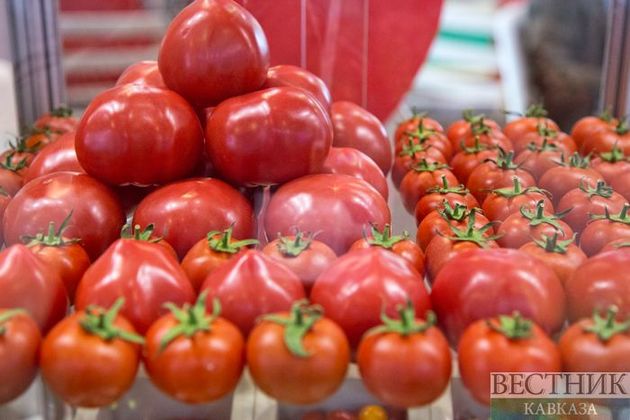 Россия может пересмотреть квоту на помидоры из Турции