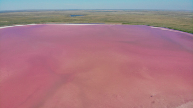 Розовое озеро в Казахстане можно приобрести в частное пользование на 49 лет