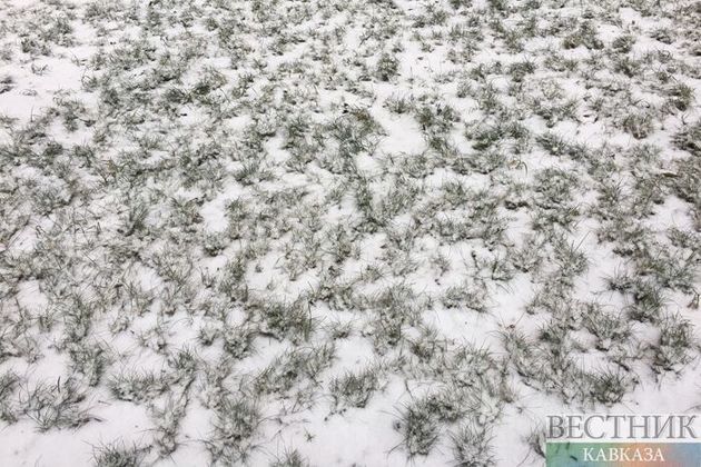 На смену дождям и грозам в Казахстане приходят заморозки