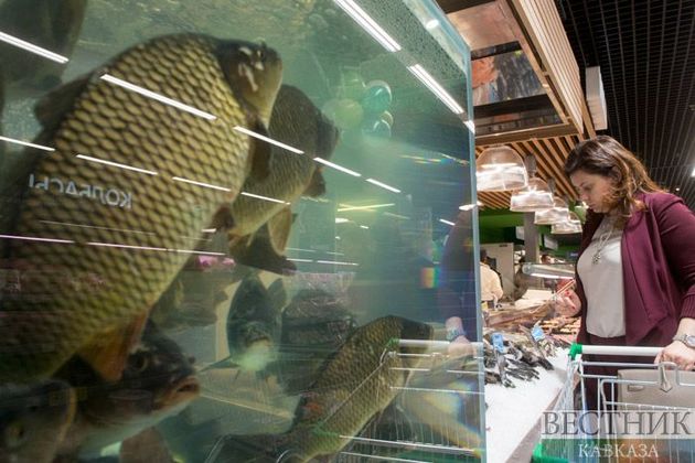 "Все дело в жабрах": россиянам дали советы по выбору живой рыбы