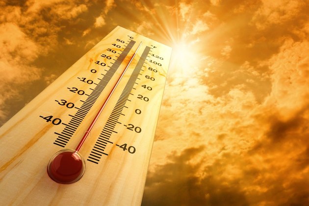 Кубань экстренно предупредили о сильной жаре