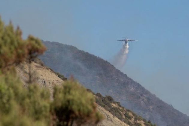 Лесные пожары под Анапой тушат полтысячи пожарных