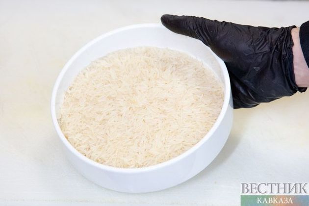 Мелиорация помогла на 11% нарастить посевы риса в Дагестане