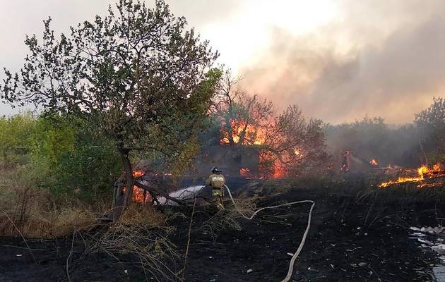 Режим ЧС из-за лесных пожаров ввели еще в двух районах Ростовской области 