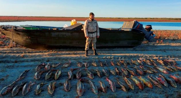В Атырауской области задержали браконьеров с 245 кг осетра (ВИДЕО)