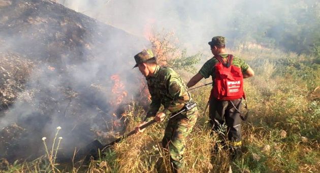 В ущелье близ Алматы потушили крупный природный пожар 
