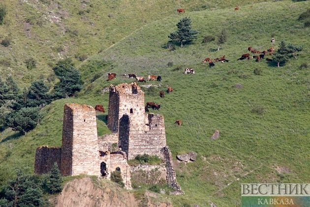 Селение со средневековыми башнями восстановят в Мамисонском ущелье