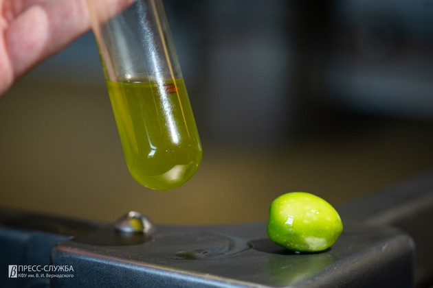 В КФУ заработала собственная линия производства оливкового масла