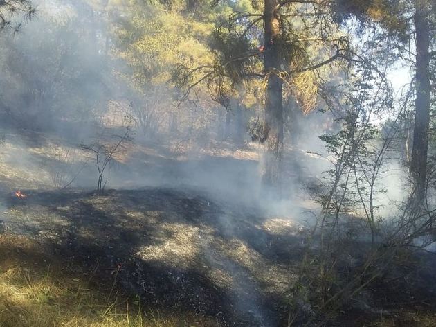 Азербайджанские спасатели потушили лесной пожар в Геранбое, вспыхнувший из-за армянских артобстрелов 