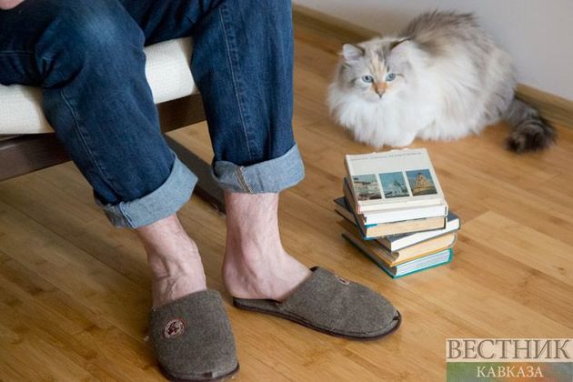 Порядок зачастую становится причиной домашних конфликтов – соцопрос