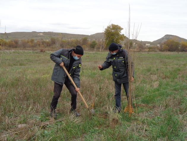 Освобожденный Губадлинский район Азербайджана продолжают озеленять после оккупации (ФОТО)