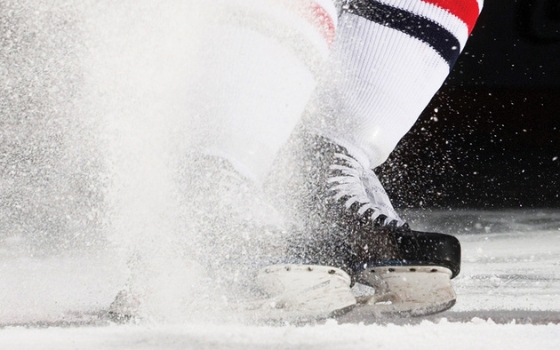 В Ингушетии пройдут мастер-классы с участием олимпийских чемпионов по хоккею 