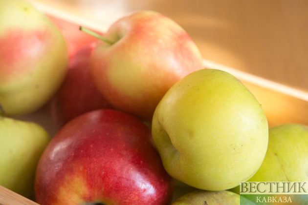 Азербайджанские яблоки вернутся в Россию
