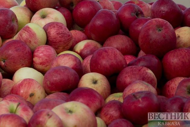 Сотни тонн азербайджанских яблок "застряли" на границе с РФ из-за запрета Россельхознадзора