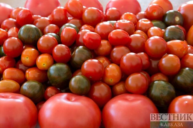 Узбекистан станет строже контролировать помидоры, уезжающие в Россию