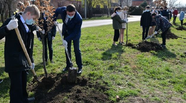 Жители Краснодара посадят тысячи новых деревьев