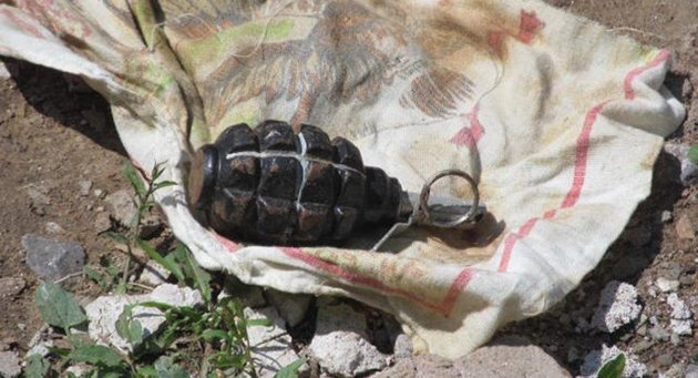 Житель Павлодара выудил гранату из реки