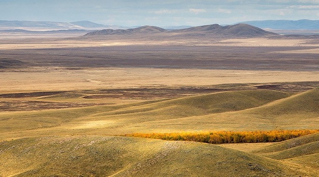 Казахстан: к чему приведет запрет на аренду земли иностранцами